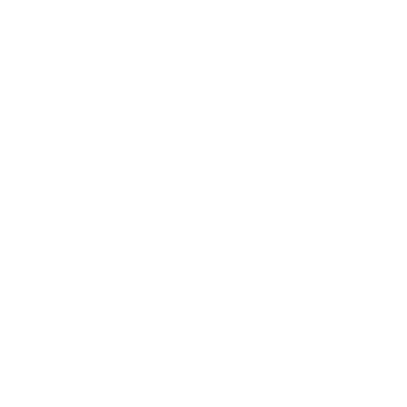 Logo Animation